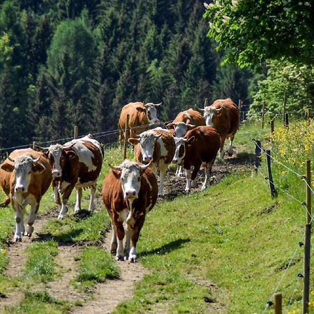 Urlaub Auf Dem Haberlhof Villa Lohberg Dış mekan fotoğraf